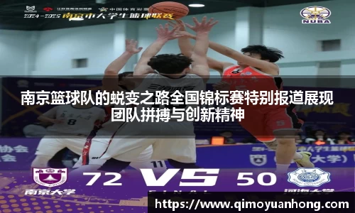 必一运动b-sports官方网站